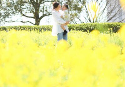 ＜菜の花＞クランプのロケーション撮影＜桜＞