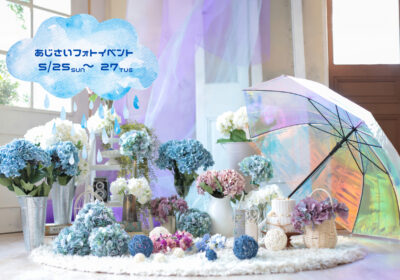 <フォトイベント>あじさいフォトイベント