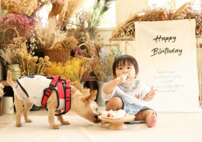 ＜1才バースデー＞1才さんと犬ちゃんはこう撮る＜ケーキスマッシュ＞