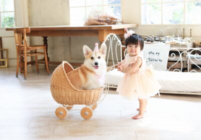 ＜１才バースデー＞1人と１匹のバースデー＜ワンちゃんと一緒＞