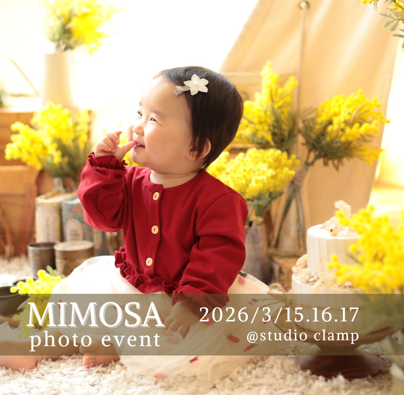 ミモザフォト