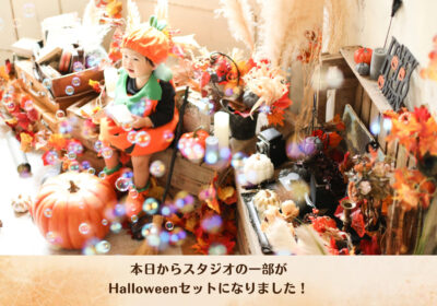 <季節のセット>本日からHalloweenセット始まりました!